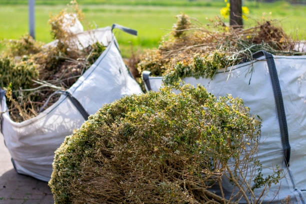 Best Household Junk Removal  in Harbison Nyon, CA