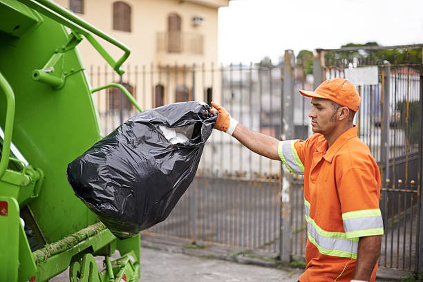 Debris Removal in Harbison Canyon, CA